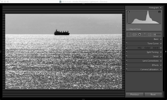 Screenshot of Lightroom Classic with black and white scanned image with dust spots and scratches on the original negative