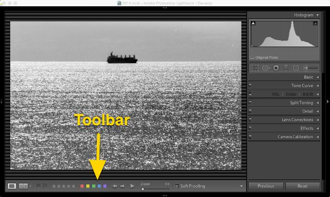 Screenshot of Lightroom Classic with black and white scanned image with dust spots and scratches on the original negative