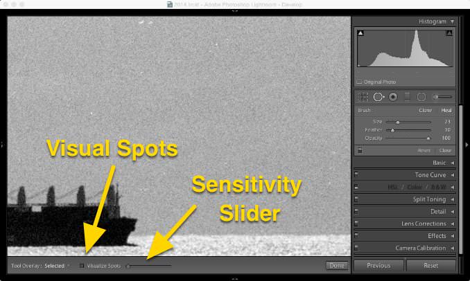 Screenshot of Lightroom Classic with black and white scanned image with dust spots and scratches on the original negative