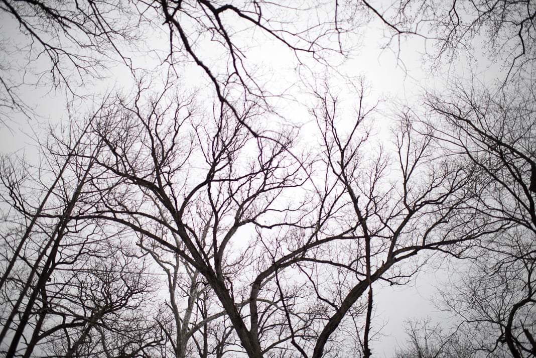 0 AF 35mm f/1.4G