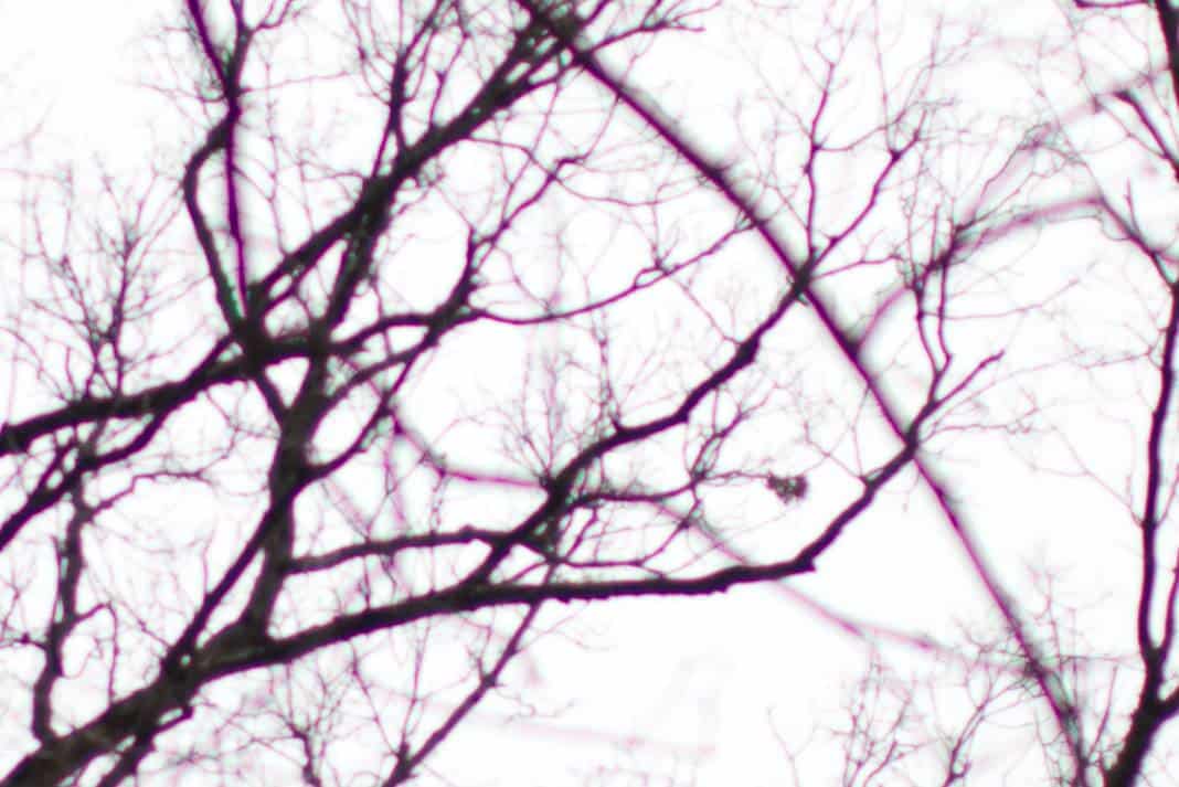 0 AF 35mm f/1.4G