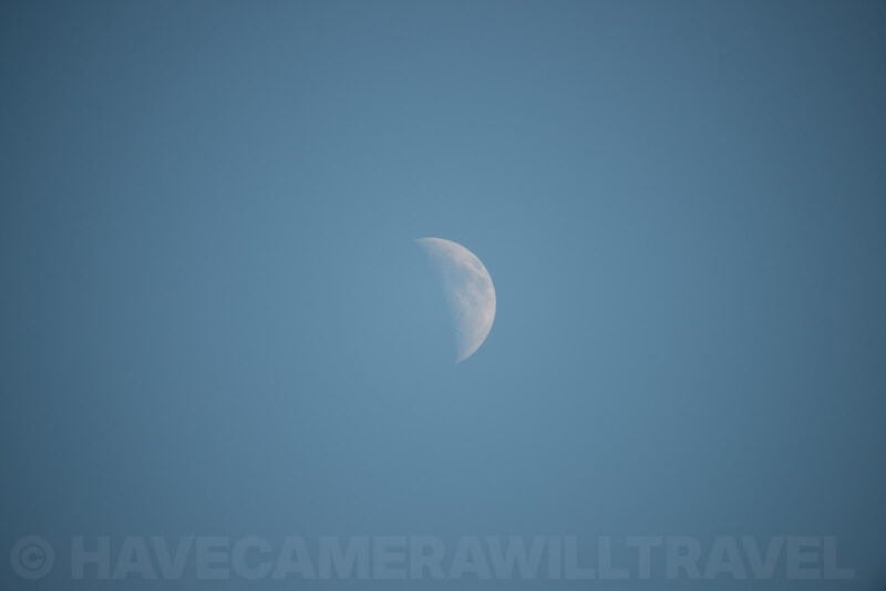 Sigma 150-600m Lens Sample Images