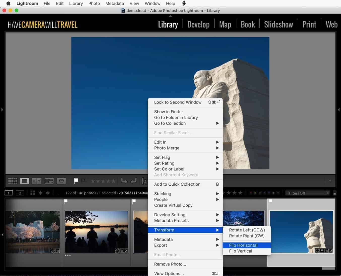 Lightroom Flip Library Single