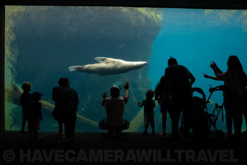 Fujifilm X100T Sample Images. Photo by David Coleman | havecamerawilltravel.com