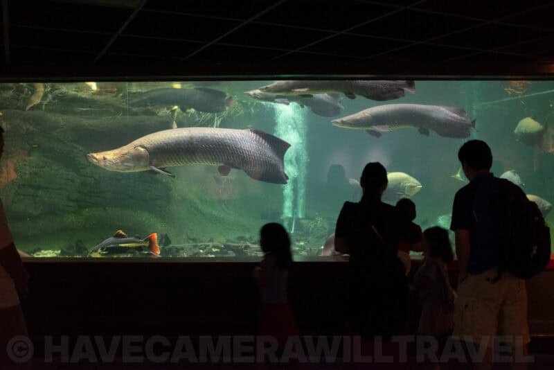 Fujifilm X100T Sample Images. Photo by David Coleman | havecamerawilltravel.com