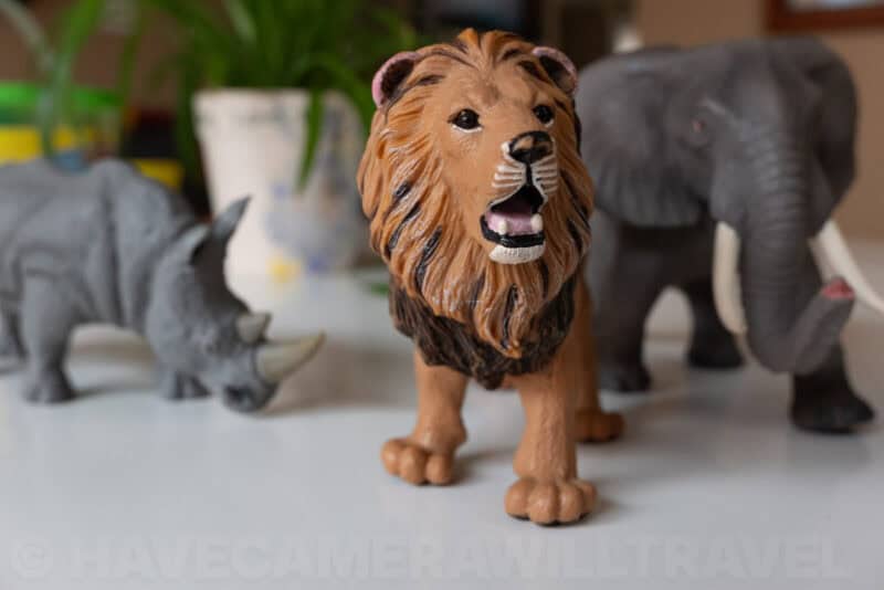 Fujifilm X70 Sample Image. Photo by David Coleman | havecamerawilltravel.com
