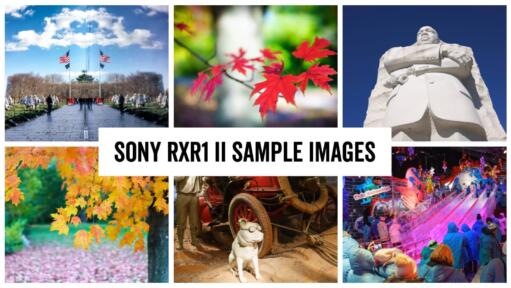 Sony RXR1 II (DSC-RX1RM2) Sample Images