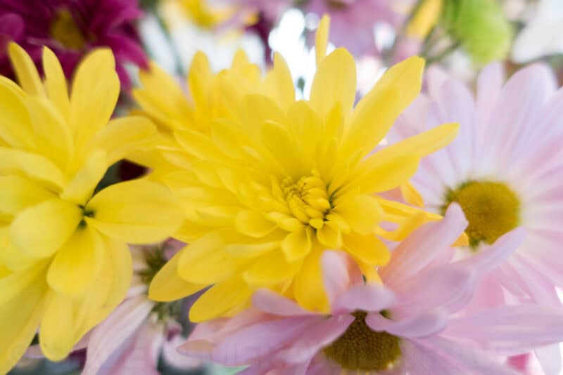 Photo taken with the Sony RX100 V compact camera.