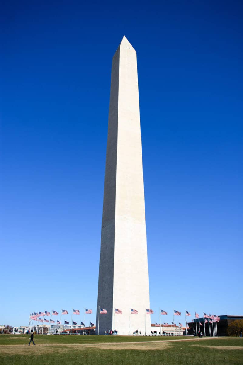 Washington Monument obelisk rising against a clear blue sky above a ring of American flags