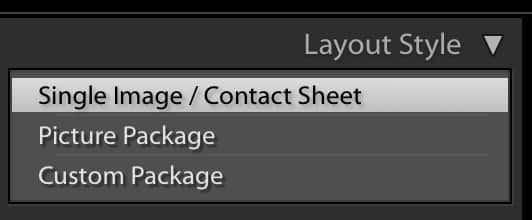 Lightroom Layout Style panel — Single Image/Contact Sheet