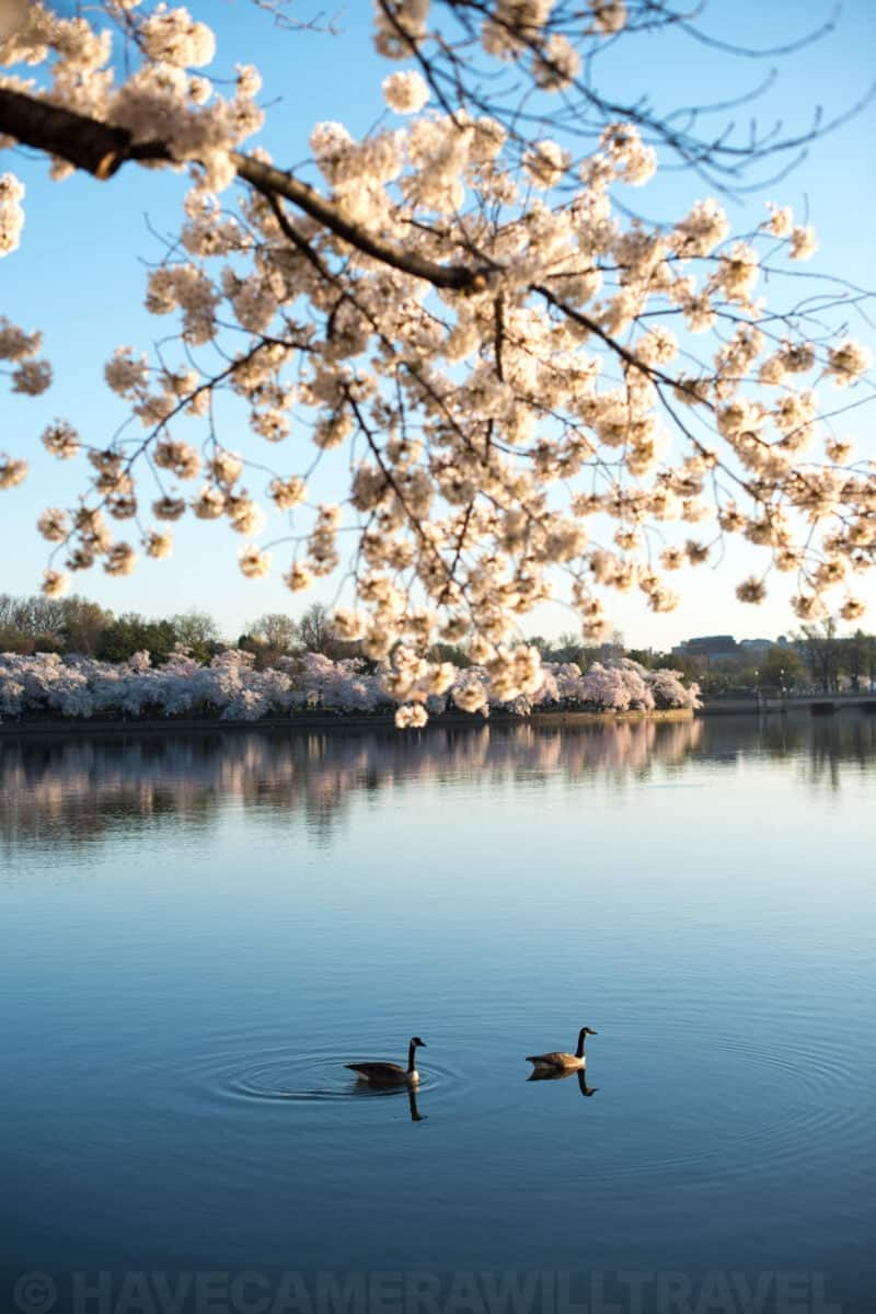 Nikon 50mm f/1.4G Sample Image