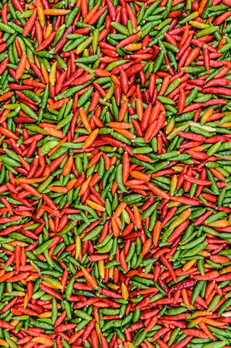 Overhead view of red, orange and green chili peppers covering a market surface