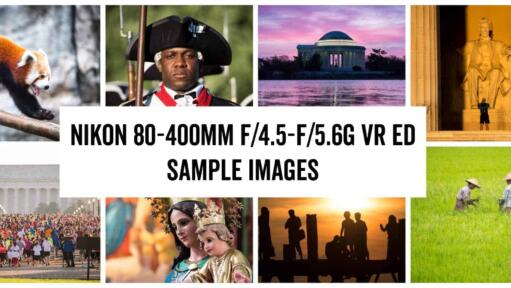 Nikon 80-400mm f/4.5-f/5.6G VR ED Sample Images