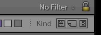 Screenshot of Lightroom Classic filtering from attribute virtual copy to separate from master originals