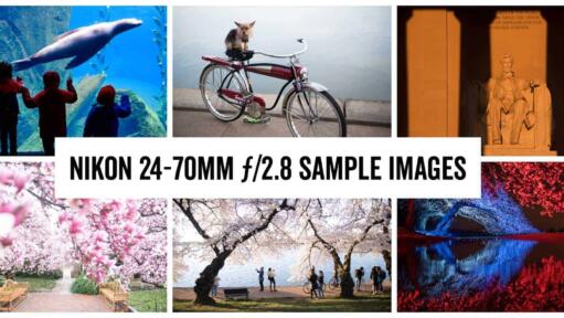 Nikon 24-70mm Sample Images
