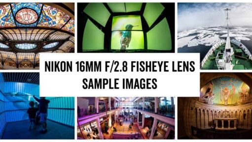 Nikon 16mm f/2.8 Fisheye Lens Sample Images Post Header