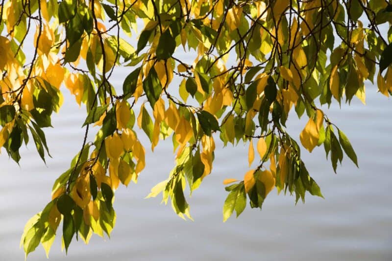 Photo taken with a Tamron 28-300mm f/3.5-6.3 Di VC PZD Zoom Lens