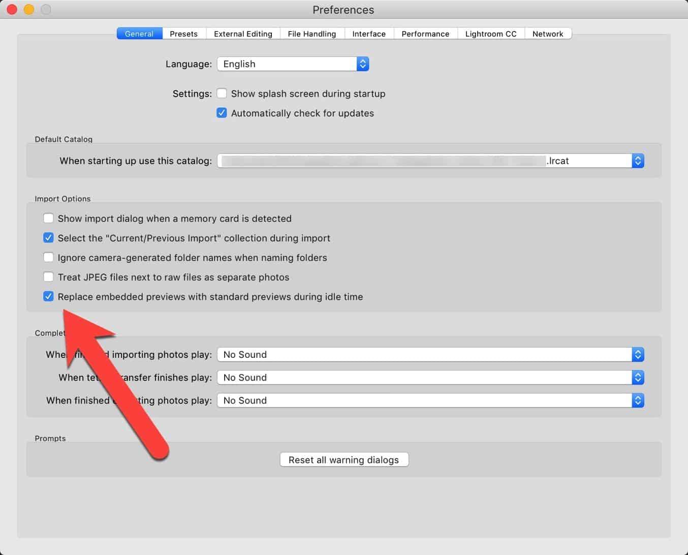 Screenshot of Lightroom Classic embedded preview replace embedded previews with standard previews during idle time options