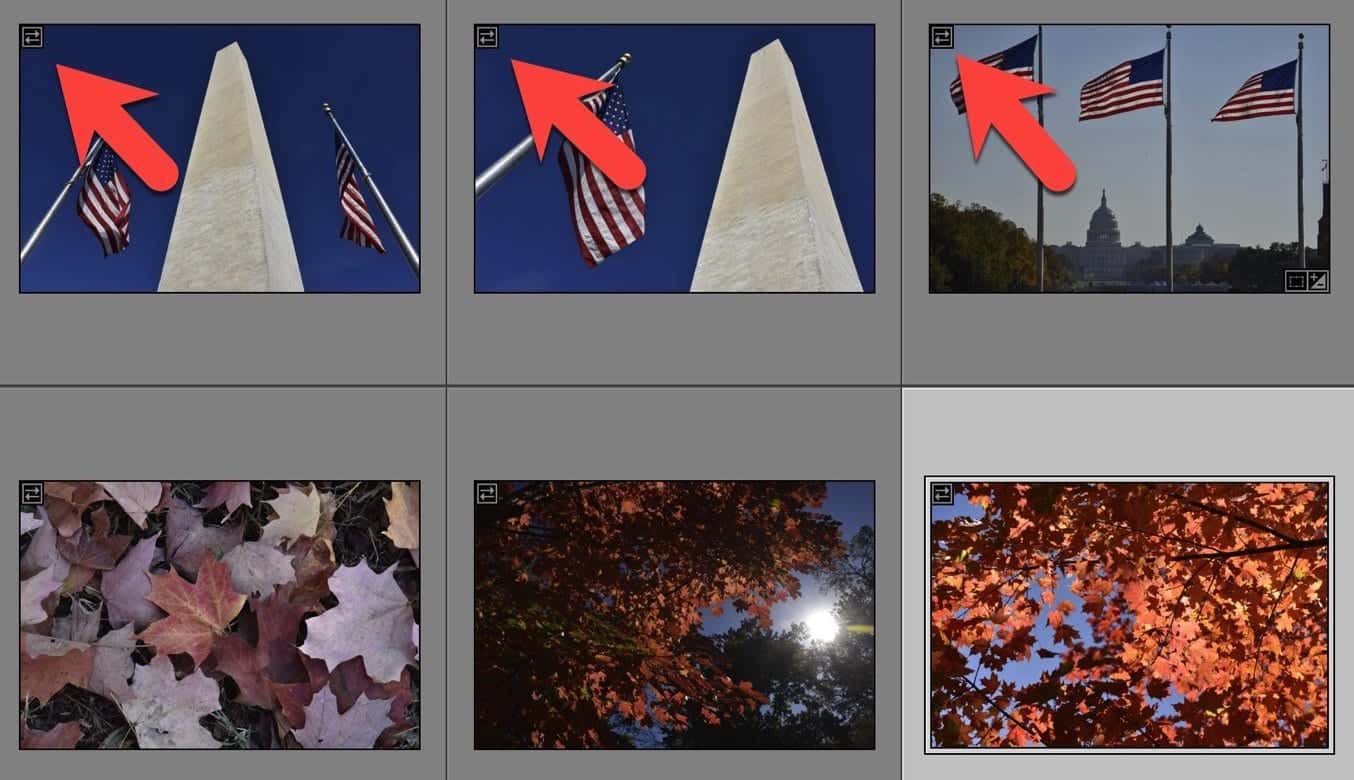 Screenshot of Lightroom Classic import embedded preview icon on thumbnails