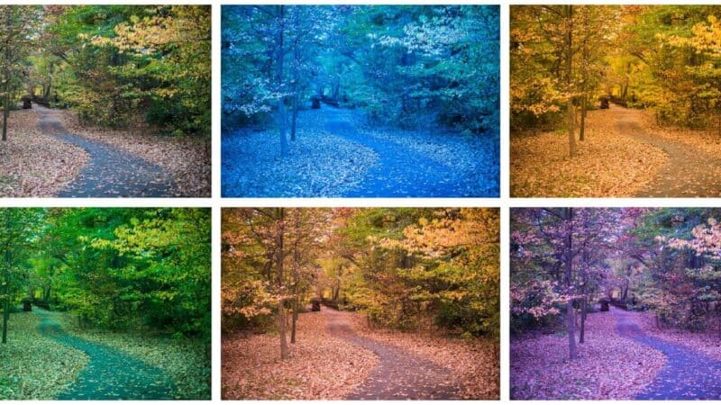 How to Use Lightroom's White Balance Sliders