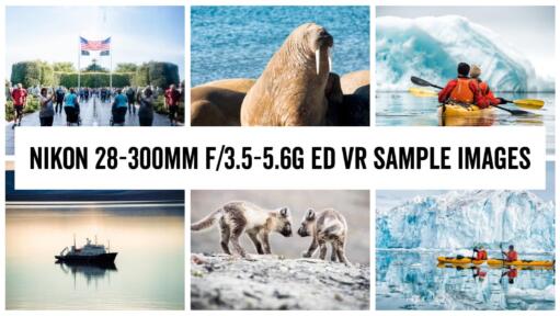 Nikon 28-300mm f/3.5-5.6G ED VR Zoom Lens Sample Images