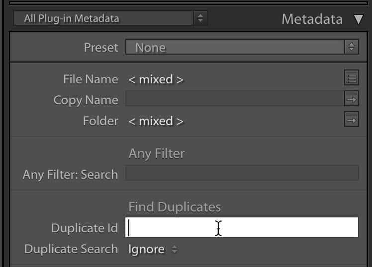 Lightroom Plugin Duplicate Finder False Positive Lightroom Plugin Duplicate Finder False Positive screenshot