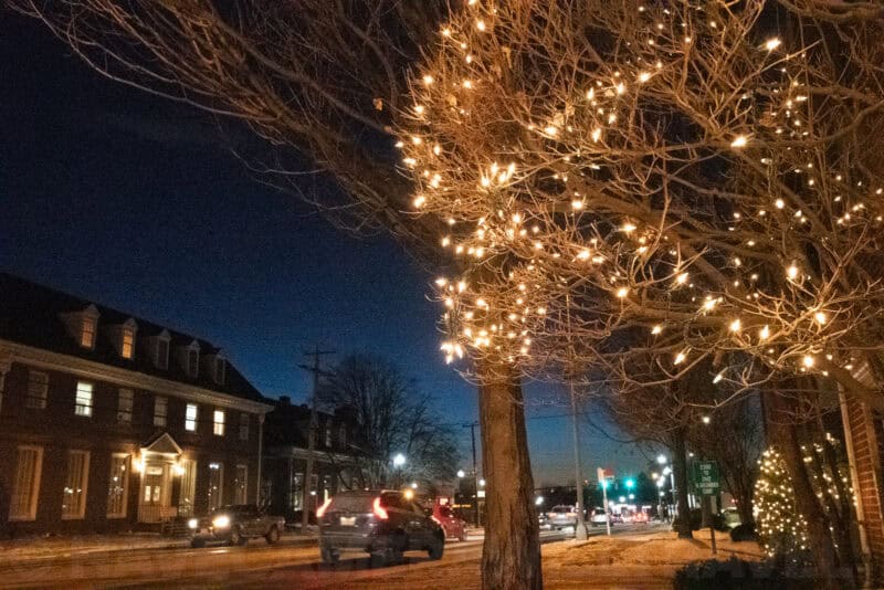 Nikon D7500 High ISO Sample-51200