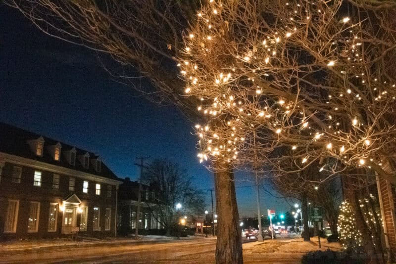 Nikon D7500 High ISO Sample-64508