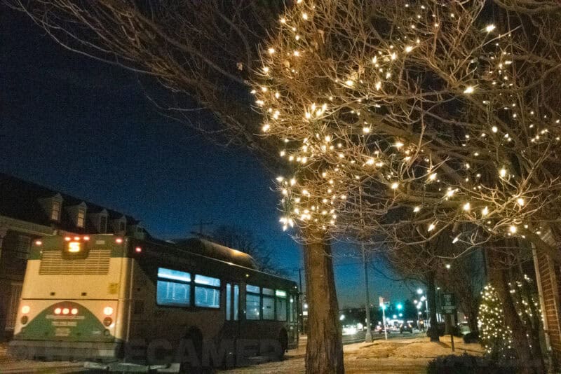 Nikon D7500 High ISO Sample-81275