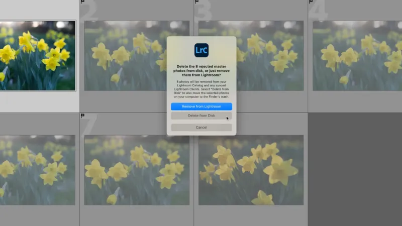 How to Delete Rejected Photos in Lightroom Classic