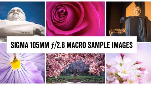 Sigma 105mm f/2.8 Macro Sample Images