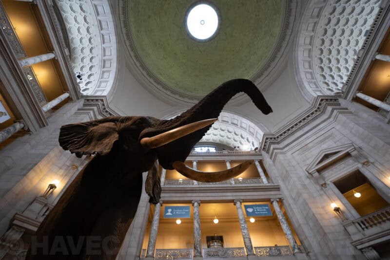 Sony FE 16-35mm f/2.8 GM Lens Sample Image