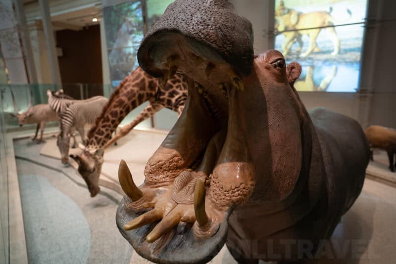 Sony FE 16-35mm f/2.8 GM Lens Sample Image