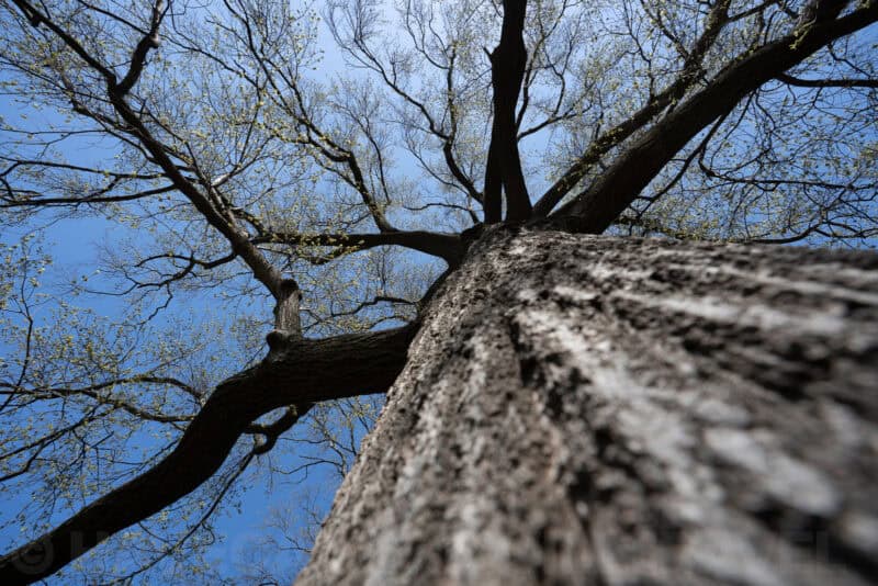 Sony FE 16-35mm f/2.8 GM Lens Sample Image