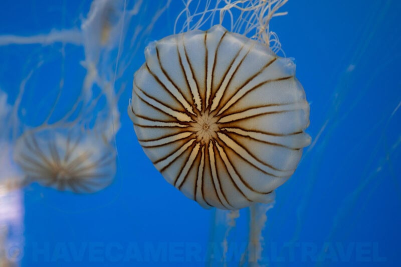 Sony FE 16-35mm f/2.8 GM Lens Sample Image