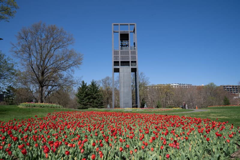 Netherlands Carillon tower framed by a vivid red tulip field under a clear blue sky