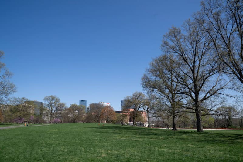 Wide view of a grassy park with trees and a distant city skyline under clear blue sky