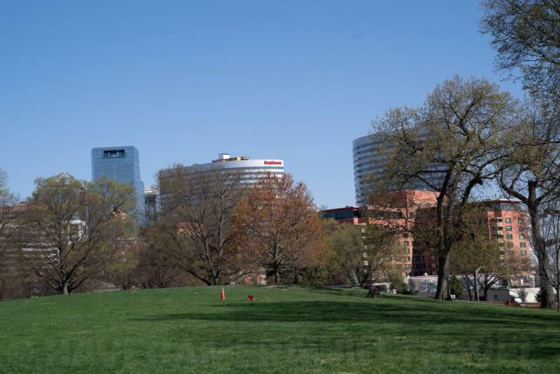 Zoomed-in view of city skyscrapers rising behind trees at the edge of a grassy park