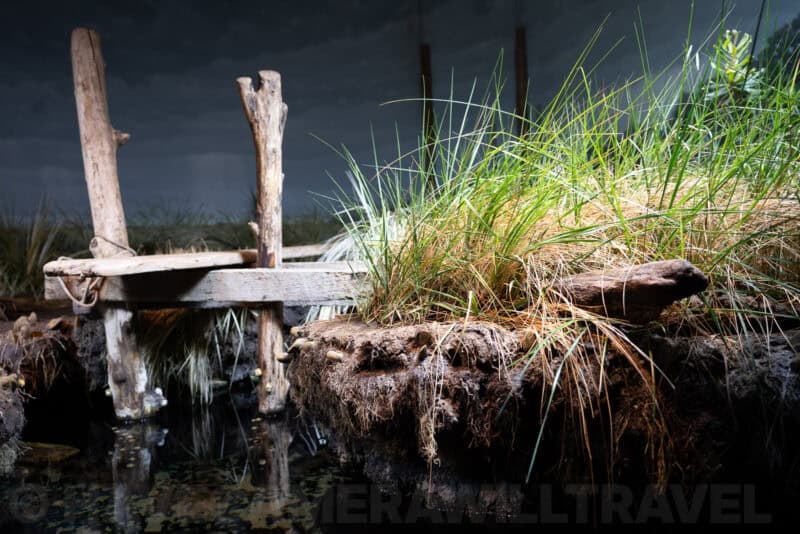 Wooden dock and marsh grass diorama lit dramatically against a dark background in a museum exhibit