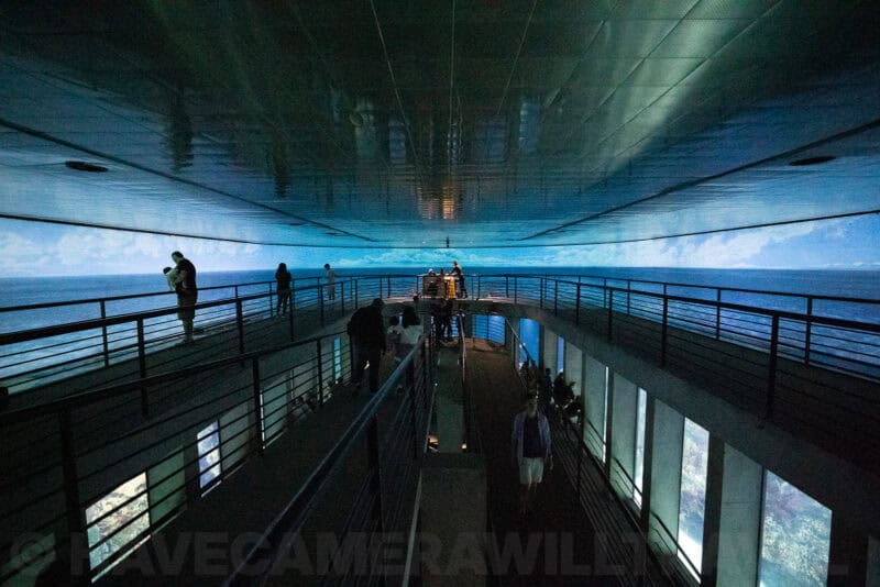 Museum viewing deck with visitors looking at an ocean-themed video wall wrapping around the ceiling