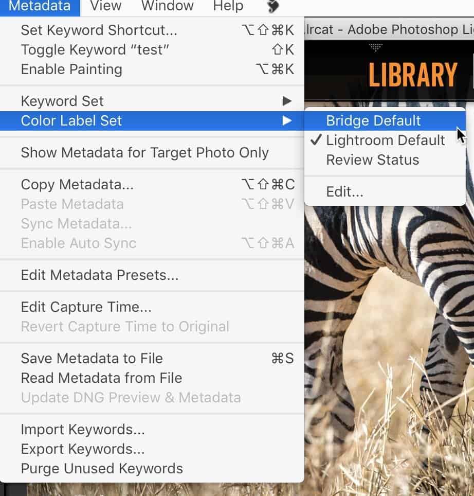 Lightroom custom color preset 1