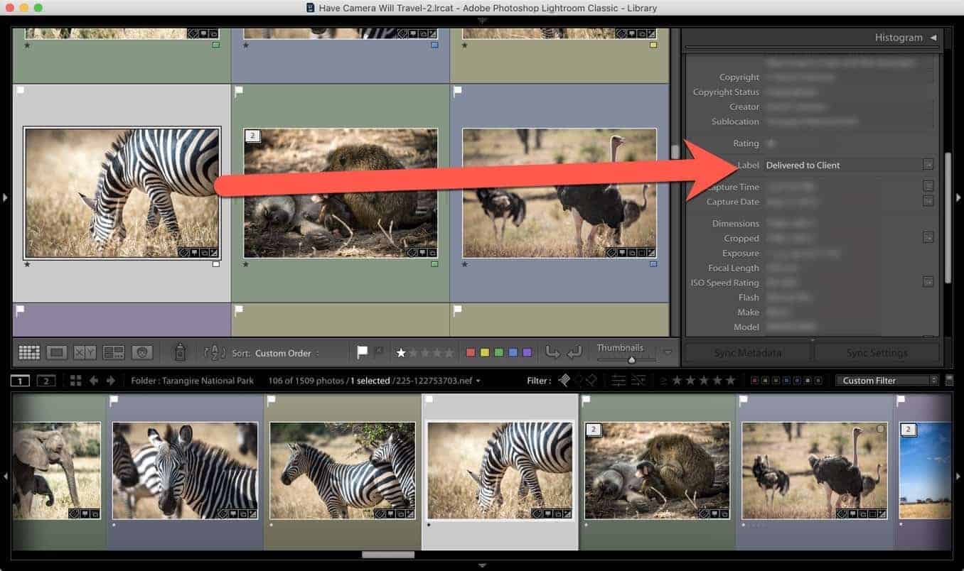 Lightroom custom color preset 6