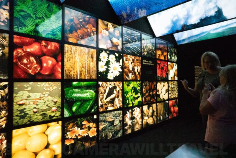 Wall of illuminated photo panels showing food and nature imagery inside a museum exhibit