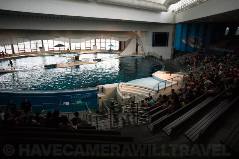 Wide view of a dolphin show pool and stadium seating filled with spectators indoors