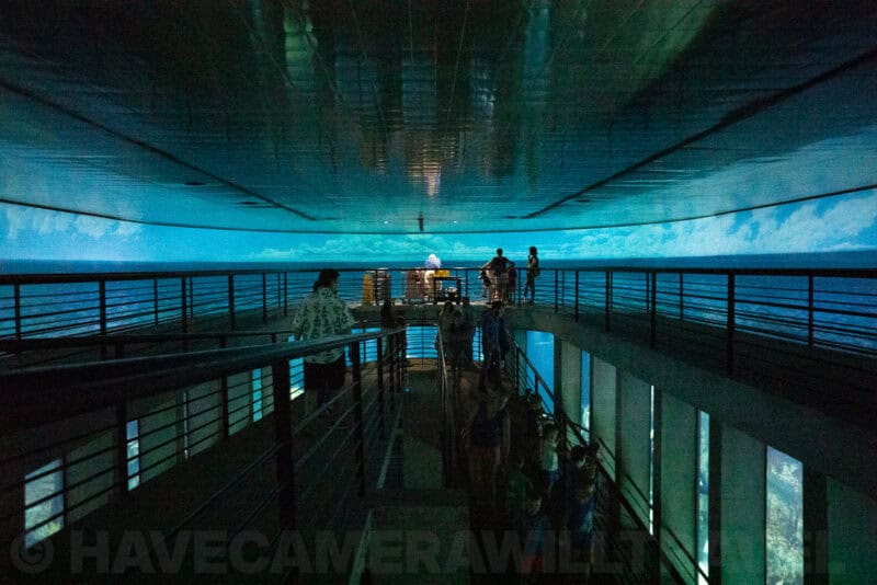 Sony a6500 High ISO Sample Image