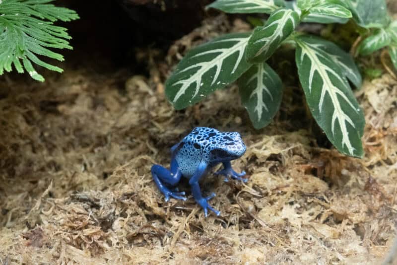 Fujifilm X-T3 High ISO Sample Image