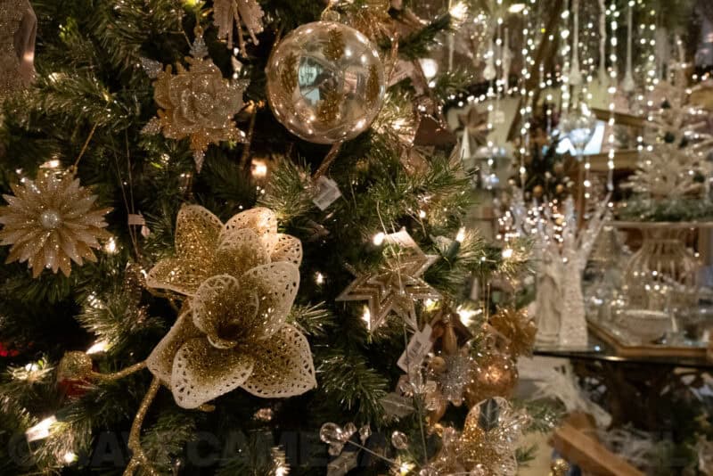 Fujifilm X-T3 High ISO Sample Image