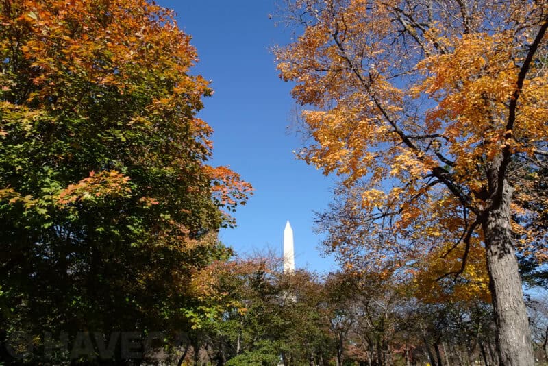 Washington Monument framed between colorful autumn tree branches
