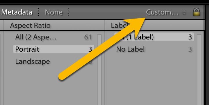 Accessing Custom Filter dropdown