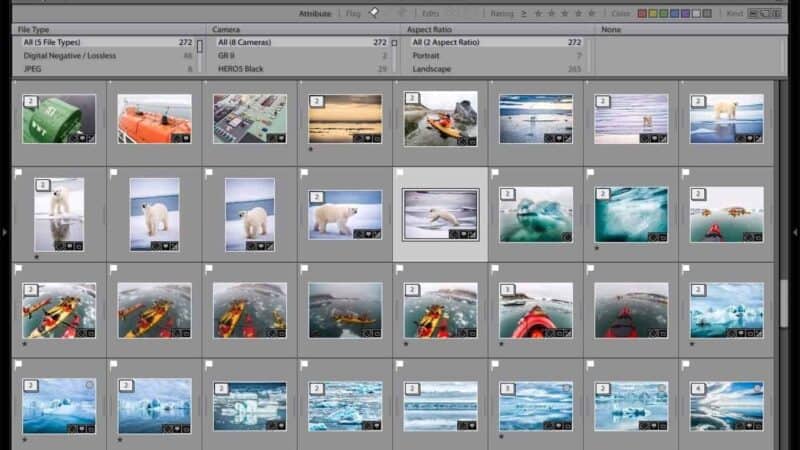 How to Filter by Portrait or Landscape Orientation in Lightroom